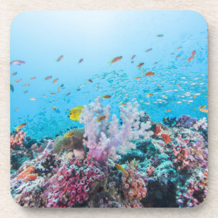 Posavasos Buceo con escafandra con el filón y el coral