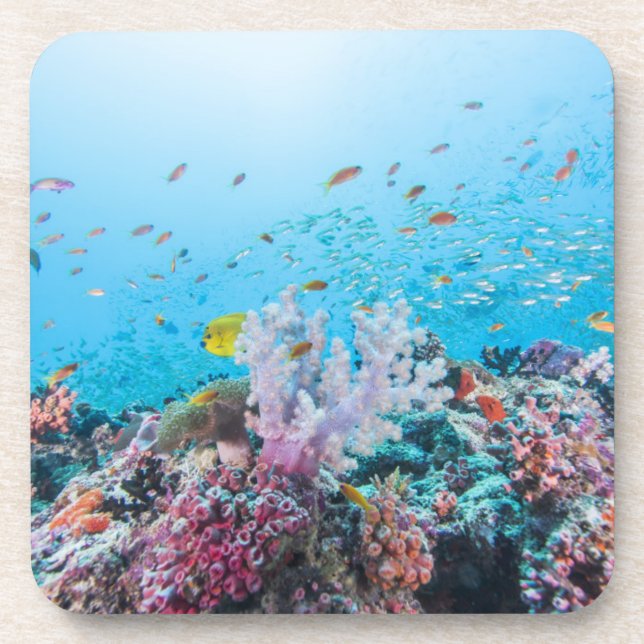 Posavasos Buceo con escafandra con el filón y el coral (Frente)