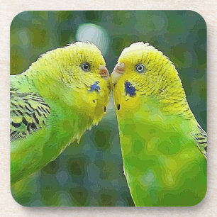 Posavasos Budgie_2015_0604