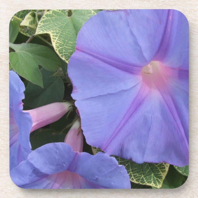 Posavasos Buenos días Castillos de Flores (Frente)