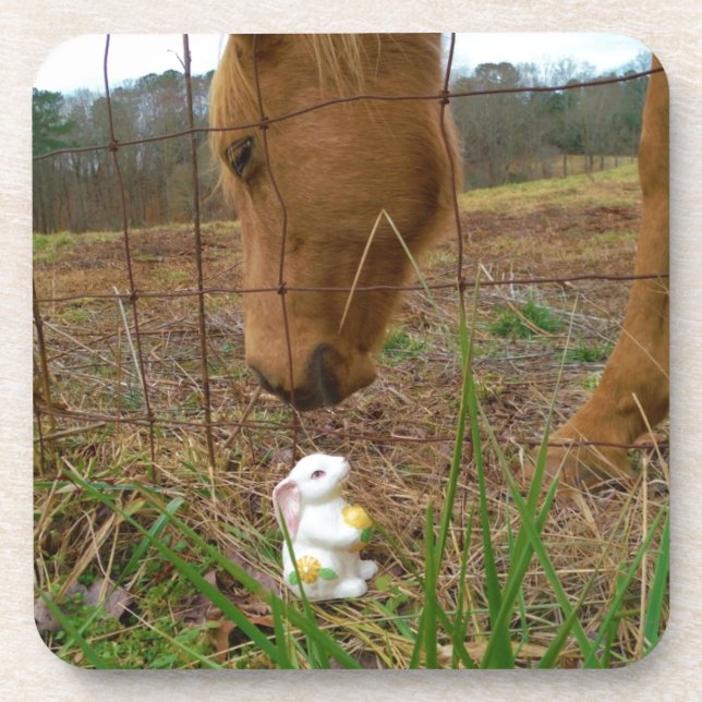 Posavasos Buey y flor de primavera Bunny (Frente)