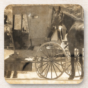Posavasos Buggy Antes Del Caballo, Amish Trae A Casa Un Caba
