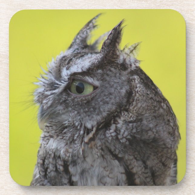 Posavasos Búho (Frente)