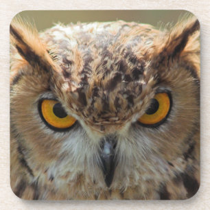 Posavasos Búho hermoso
