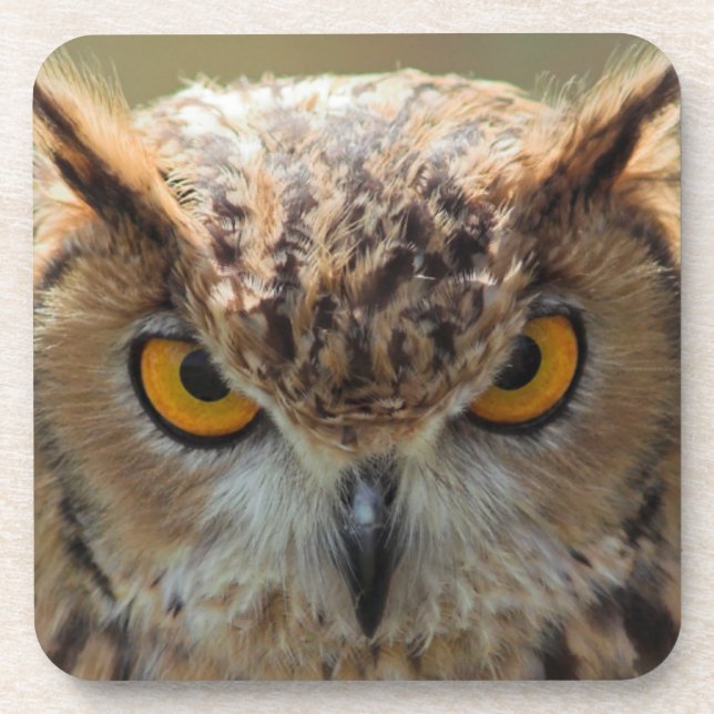 Posavasos Búho hermoso (Frente)