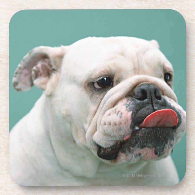 Posavasos Bulldog (Frente)