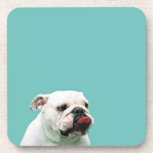 Posavasos Bulldog blanco de perro lindo