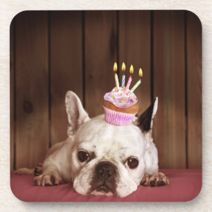 Posavasos Bulldog francés con la magdalena del cumpleaños