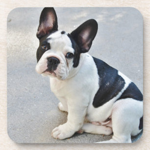 Posavasos bulldog francés sentado
