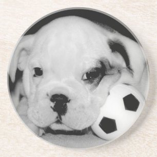 Posavasos "Bulldog inglés del perrito del fútbol"