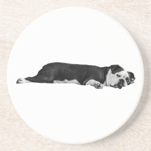 Posavasos Bulldog perezoso, mesa de Neat