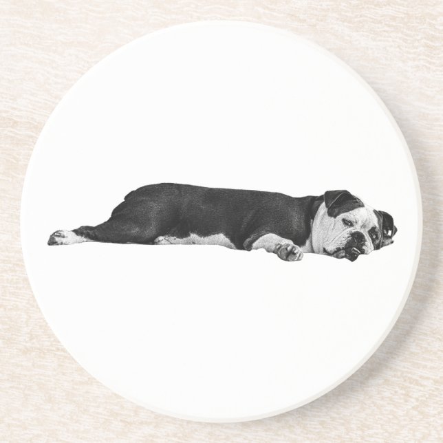 Posavasos Bulldog perezoso, mesa de Neat (Frente)