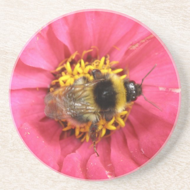 Posavasos Bumblebee Coasters (Frente)