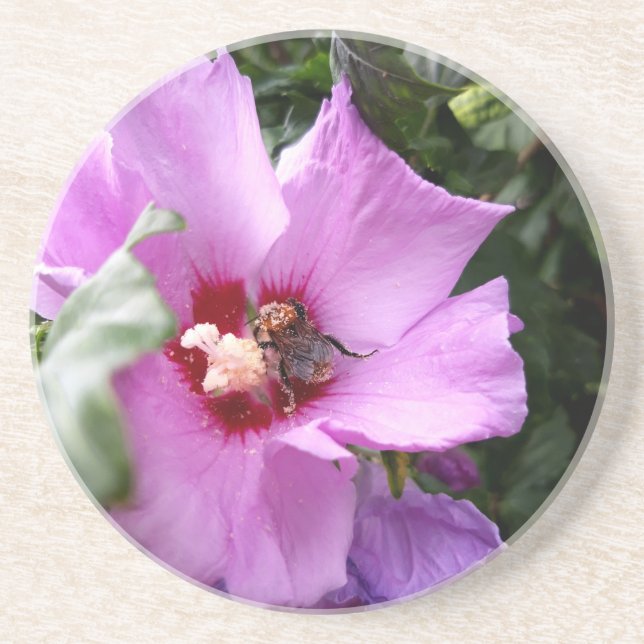 Posavasos Bumblebee en la flor de Hibiscus (Frente)
