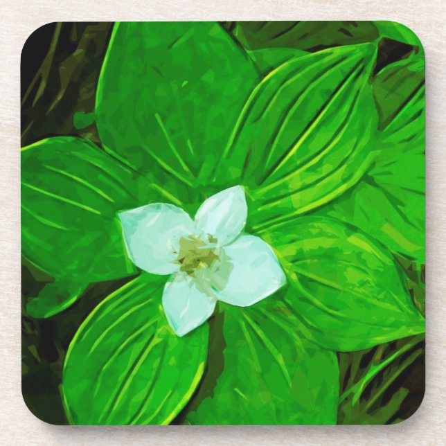 Posavasos Bunchberry White Wildflower (Frente)