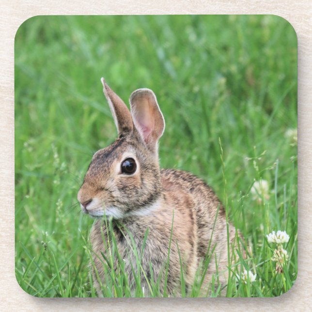 Posavasos Bunny (Frente)