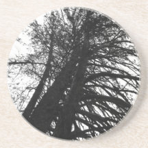 Buscar en los árboles