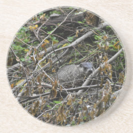 Posavasos Busy Beaver