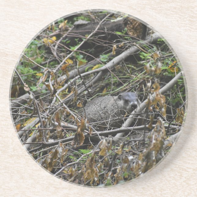 Posavasos Busy Beaver (Frente)