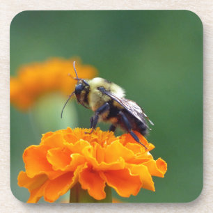 Posavasos Busy Bee
