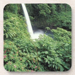 Posavasos CA, Costa Rica. Catarata La Paz y balsaminas