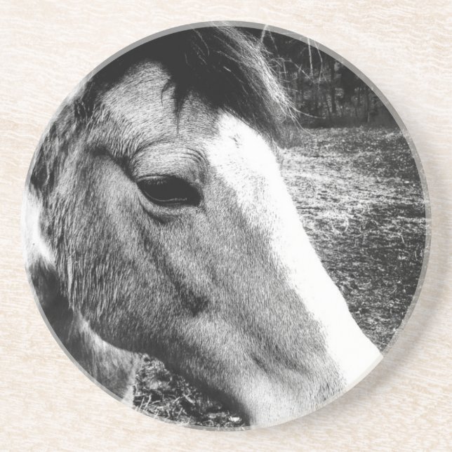 Posavasos Caballo (Frente)