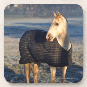 Posavasos caballo