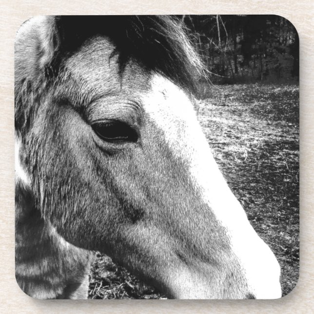 Posavasos Caballo (Frente)