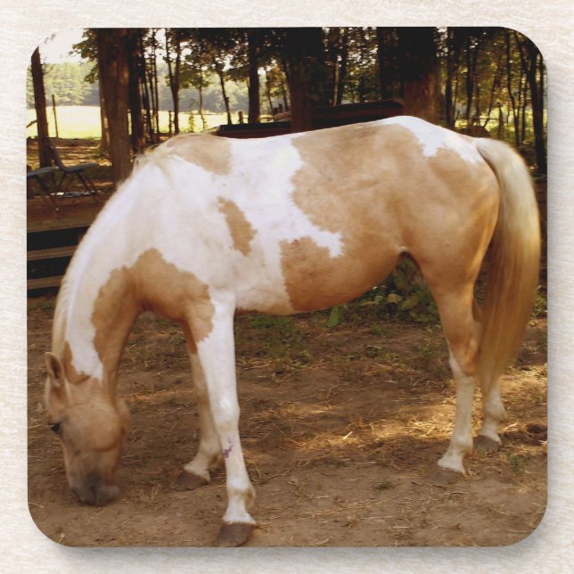 Posavasos Caballo 3 (Frente)