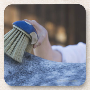 Posavasos caballo blanco de cepillado de la chica joven