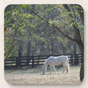 Posavasos Caballo blanco en los árboles
