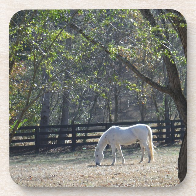Posavasos Caballo blanco en los árboles (Frente)