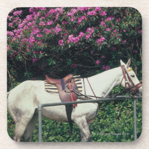 Posavasos Caballo blanco en un jardín