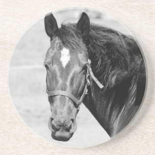 Posavasos Caballo blanco negro