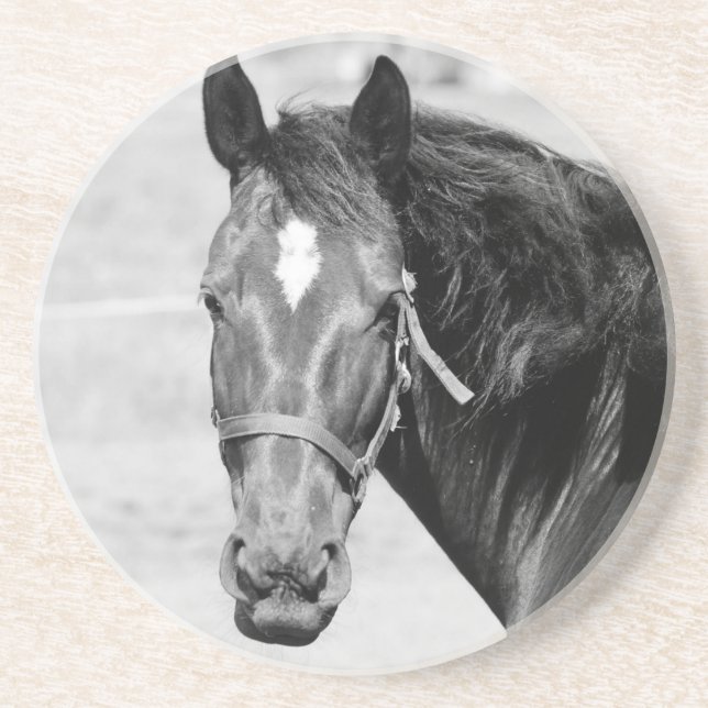 Posavasos Caballo blanco negro (Frente)