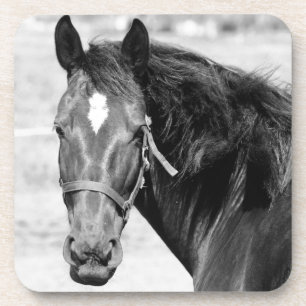 Posavasos Caballo blanco negro