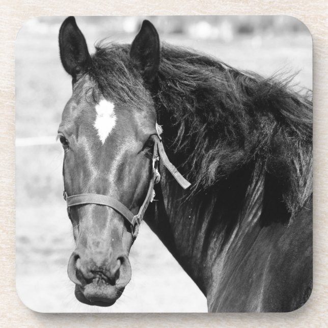 Posavasos Caballo blanco negro (Frente)