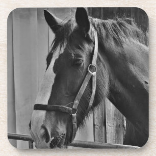 Posavasos Caballo blanco negro - Arte fotográfico animal