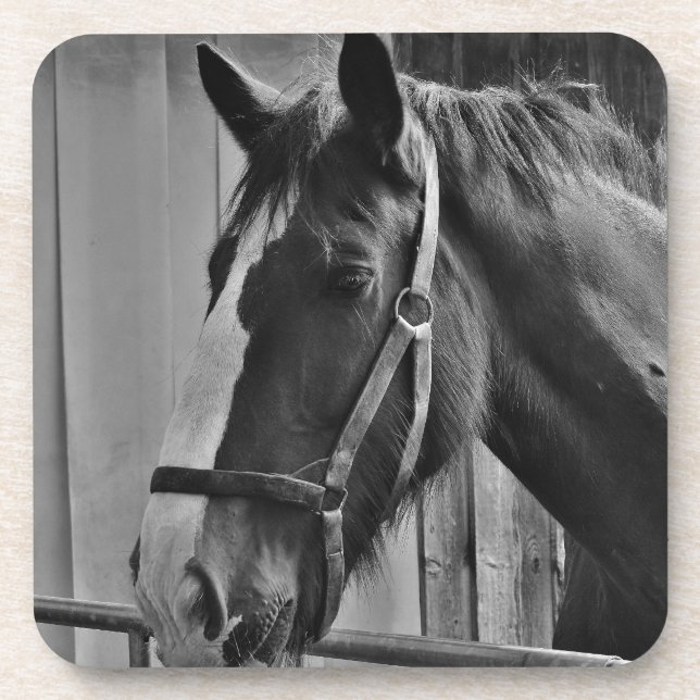 Posavasos Caballo blanco negro - Arte fotográfico animal (Frente)