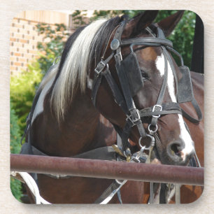Posavasos Caballo Buggy Bay Pinto Amish