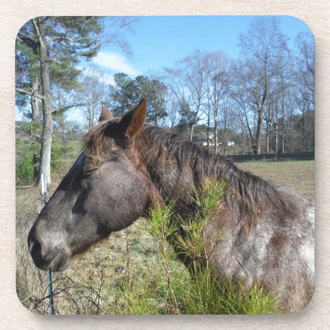 Posavasos Caballo color Coco y Crema (Frente)
