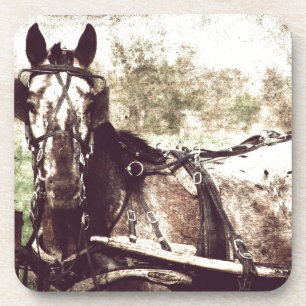 Posavasos Caballo de Appaloosa