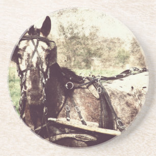 Posavasos Caballo de Appaloosa