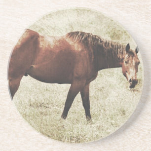 Posavasos Caballo de Bahía