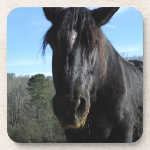 Posavasos Caballo de Borrador Negro rescatado