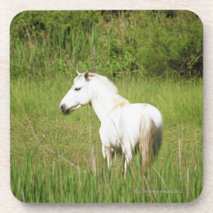 Posavasos Caballo de Camargue en el Alpes Cote d'Azur del