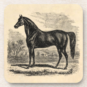 Posavasos Caballo de los 1800s del vintage - plantilla del
