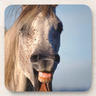Posavasos caballo de risa