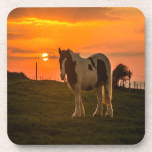 Posavasos Caballo del atardecer