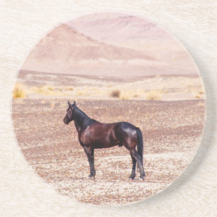 Posavasos Caballo desierto P8664